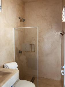 W łazience znajduje się przeszklony prysznic i toaleta. w obiekcie Palomar Villas Río Lagartos w mieście Río Lagartos