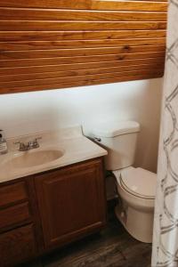 a bathroom with a toilet and a sink at Bluebird Cottage, walking distance to fairgrounds in Hutchinson