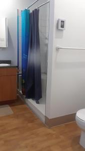 La salle de bains est pourvue d'une douche avec un rideau de douche bleu. dans l'établissement MHotel Domaine l'Envolée- Maison Fleurie, à Victoriaville