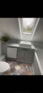 a bathroom with a sink and a toilet at Pippin Lodge in Llanwrda