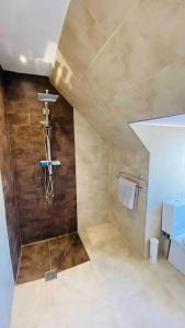 a small bathroom with a shower with a sink at Family Marine Apartment with Sea View in Dawlish