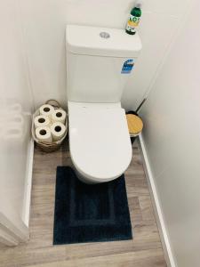 a white toilet in a bathroom with a rug at Quiet home with modern touch in Dunedin