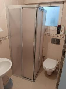 a bathroom with a shower and a toilet and a sink at Taksim house in Istanbul