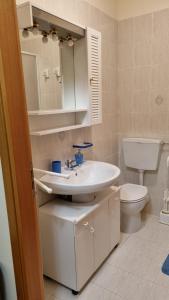y baño con lavabo y aseo. en Appartamento Val di Luce Relax Cristallo, en Abetone