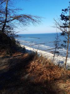 een onverharde weg die leidt naar een strand met de oceaan bij Bungalow Usedom in Ostseebad Koserow +10 foto's