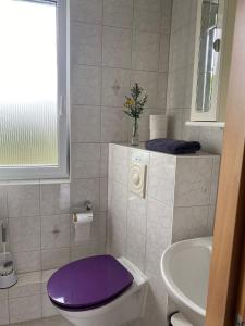 een badkamer met een paars toilet en een wastafel bij Bungalow Usedom in Ostseebad Koserow