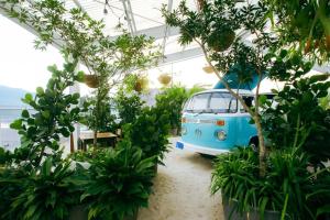 a blue van parked in a greenhouse with trees at Secrt 1914 in San José