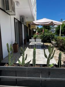 een terras met cactussen, een parasol, tafels en stoelen bij Popi's Place in Rhodos-stad