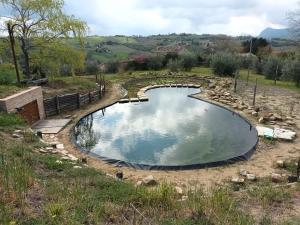 uma pequena piscina de água num campo em Locanda San Francesco em Montecarotto