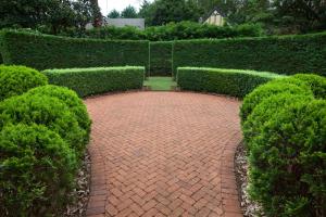 a brick pathway in a garden with green bushes at The Castle on Tamborine in Mount Tamborine
