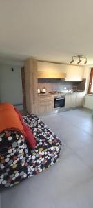 a large room with a bed and a kitchen at Casa Christine in Villa Minozzo