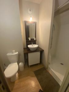 a bathroom with a white toilet and a sink at Appartement en duplex pour 8 personnes in Arreau