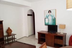 TV a/nebo společenská místnost v ubytování Precioso apartamento junto a plaza la Corredera