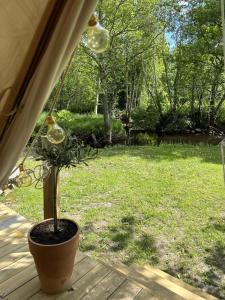 Zahrada ubytování Glampingtält, privat område, 3 mil utanför Örebro