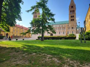 a large building with a tree in the middle of a park at Downtown Studio Apartman in Pécs