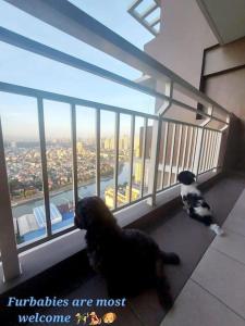 a dog and a cat looking out of a window at Fully-Airconditioned 2-BR Unit near BGC in Manila
