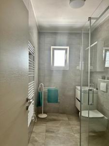 uma casa de banho com um chuveiro, um WC e um lavatório. em Villa Roseal em Povljana