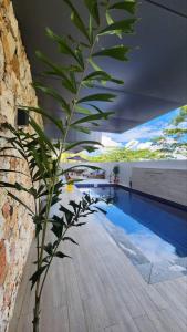 a plant sitting next to a swimming pool at El Palm in Nadi