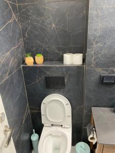 a bathroom with a toilet with three plants on the shelf at בוטיק בהרי הקסטל in Mevasseret Zion