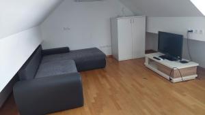sala de estar con sofá y TV de pantalla plana en Apartma Samo en Kranj