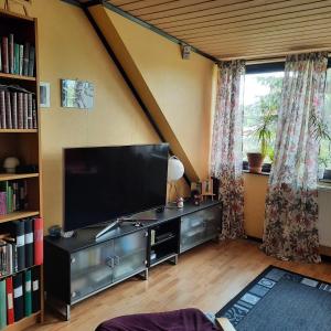 a living room with a large television and a book shelf at Naturnära enkel rum B&B i Uppsala Ramstalund in Uppsala