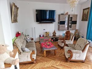 TV a/nebo společenská místnost v ubytování Balaton Holiday