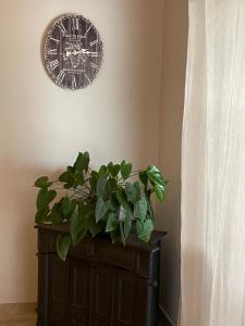 Fotografie z fotogalerie ubytování ANGELO v destinaci Koper