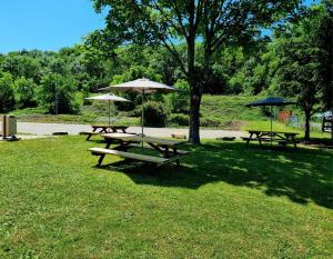 a group of picnic tables with umbrellas in a park at Lemon Hôtel Coudes in Coudes