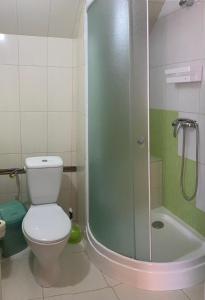 uma casa de banho com um WC e uma cabina de duche em vidro. em Затишок в Карпатах em Slavske