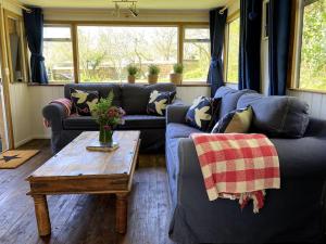 ein Wohnzimmer mit einem blauen Sofa und einem Tisch in der Unterkunft Olive's Cabin in Helston