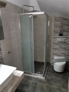 a bathroom with a shower and a toilet at LASKARINA'S HOUSE in Skala Potamias +17 photos