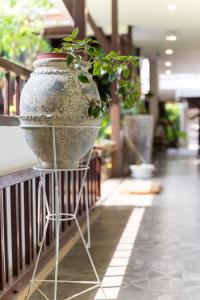 une plante dans un pot assise sur une balustrade dans l'établissement นายก่ายหมอน Nine-Kai-Mon, à Chiang Mai