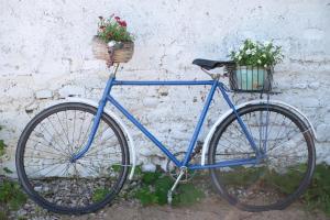 Una bicicleta azul estacionada junto a una pared con flores en cestas en Siedlisko Orzechówko en Orzechówko