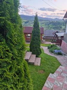 a garden with a bench and a tree at Краєвид in Vorokhta