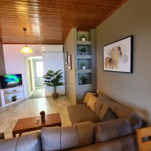 a living room with a brown couch and a table at Pure Blue House in Athanion