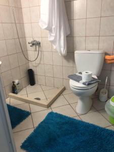 ein Badezimmer mit einem WC und zwei blauen Teppichen in der Unterkunft Sideroporta castle Náfpaktos in Nafpaktos