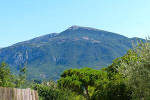 Provencal Villa with Stunning Views of the Sea and Mountains في Le Bar-sur-Loup: جبل في المسافة مع شجرة في المقدمة