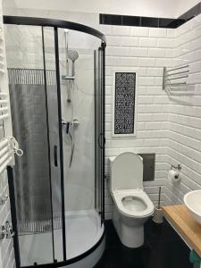 a bathroom with a shower with a toilet and a sink at Apartament Różany in Karpacz