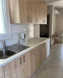 eine Küche mit Holzschränken und einem Waschbecken in der Unterkunft Aggeliki's Apartments in Ofrynio