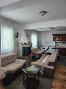 巴爾的住宿－Gazdinstvo Đurović，带沙发和壁炉的客厅