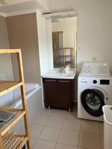 uma casa de banho com uma máquina de lavar roupa e um lavatório em Grand T2 La Plaine Saint Denis em Saint-Denis