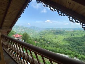 Φυσικό τοπίο κοντά σε αυτό το σαλέ