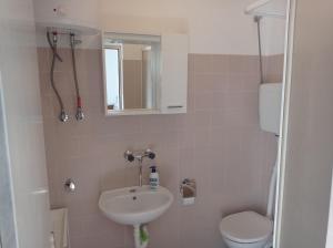 a bathroom with a sink and a toilet and a mirror at Adrian's Apartments & Winery in Lumbarda