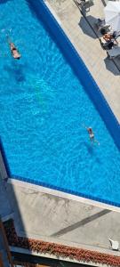 two birds swimming in a swimming pool at Sea View Private Studio B 511 in Nesebar