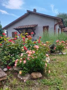 um jardim de rosas em frente a uma casa em casale Fossitello em Torre San Severo