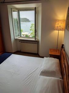 Un dormitorio con una cama grande y una ventana en IRIDE sul lago 2 Via Principessa Jolanda 10-Piazza del Molo en Anguillara Sabazia
