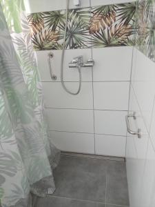 un bagno con box doccia e piante sul muro di Agroturystyka "Pod Bluszczem" a Krasnobród