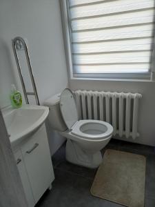 克拉斯诺布鲁德Agroturystyka "Pod Bluszczem"的相册照片