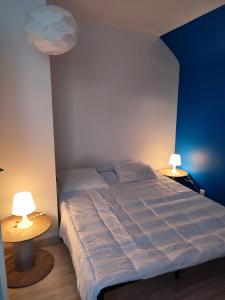 1 dormitorio con 1 cama y 2 mesas con lámparas en Le Lazare Fleury Orléans calme et proximité, en Fleury-les-Aubrais
