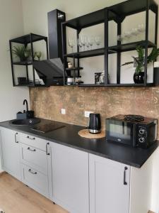 a kitchen with a counter top with a microwave at Austrumi in Kolka +7 photos
